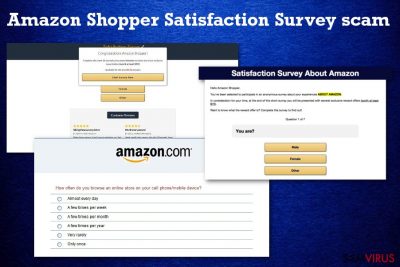Fraude Amazon Shopper Satisfaction Survey