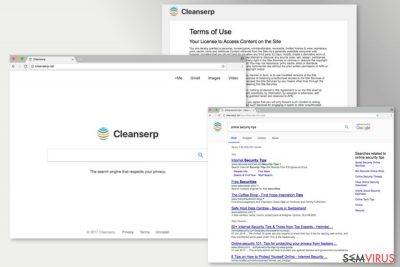 A imagem do Cleanserp.net