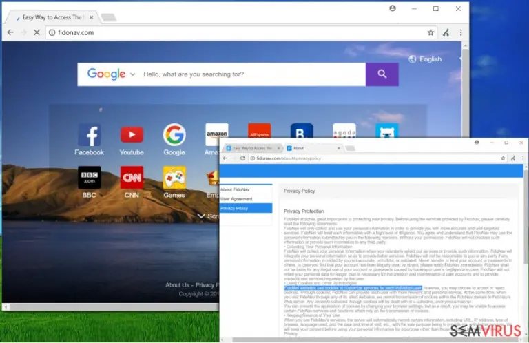 Fidonav.com virus