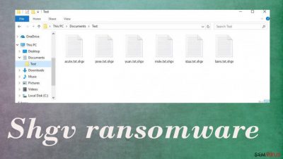 Ransomware Shgv